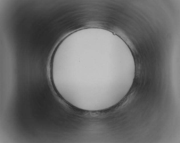 X0000102290955200808221354