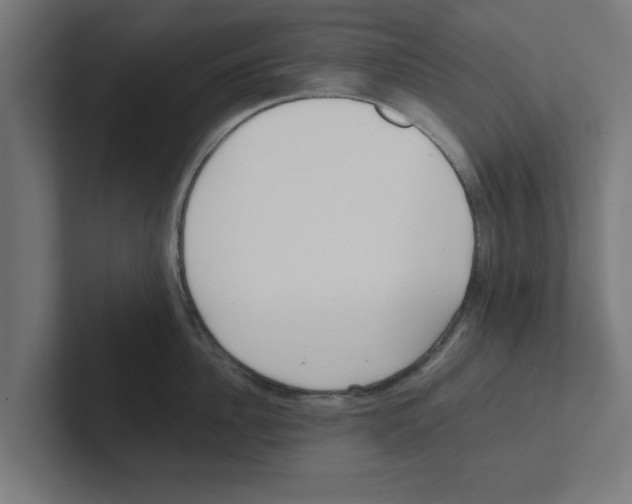 X0000102290956200808221354