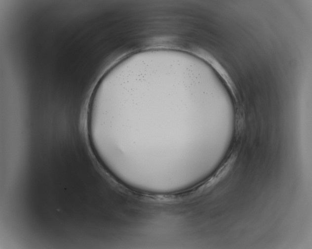 X0000102290957200808221354