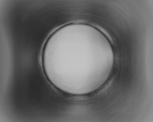 X0000102290959200808221354