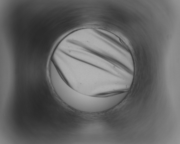 X0000102290960200808221354