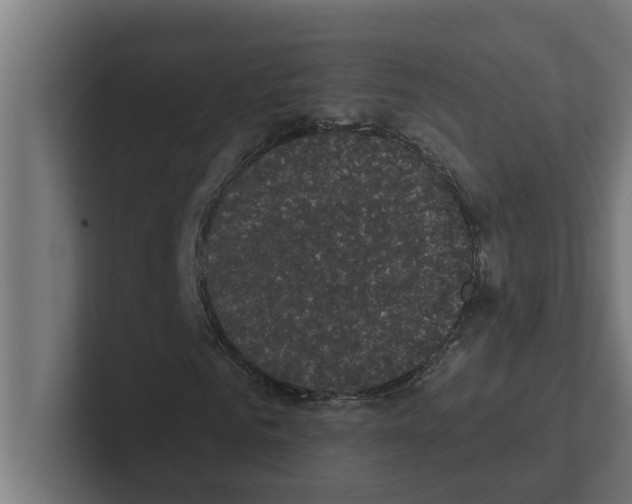 X0000102290961200808221354