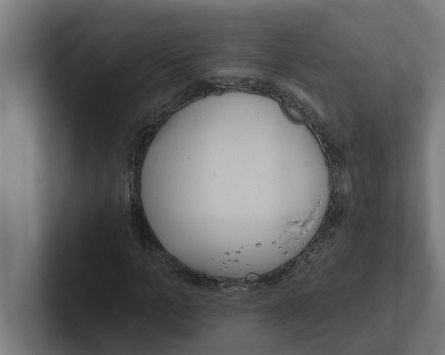 X0000102290965200808221354