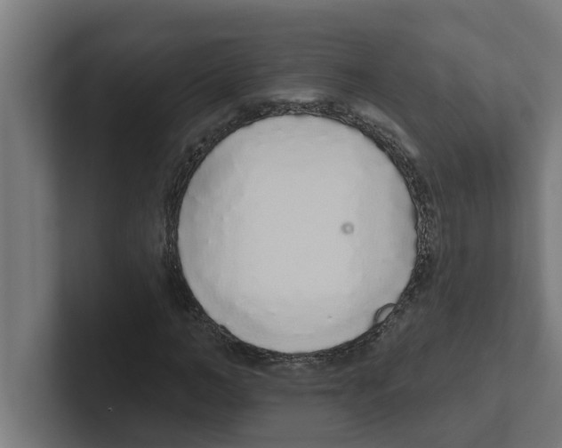 X0000102290966200808221354