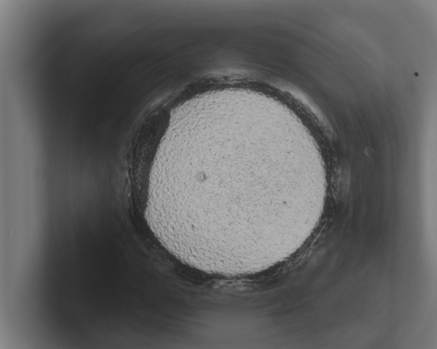 X0000102290967200808221354