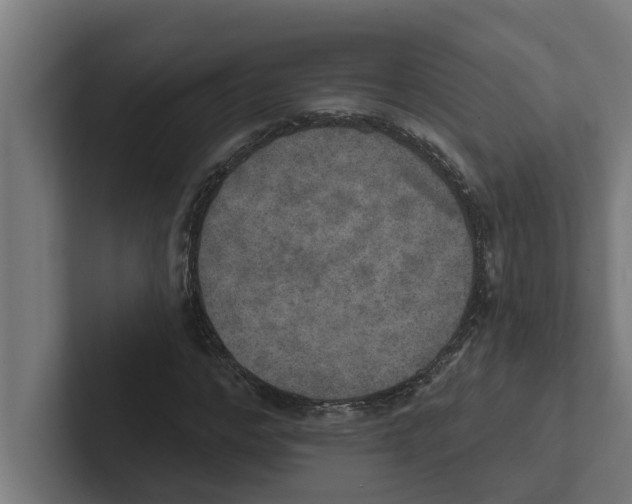 X0000102290968200808221354