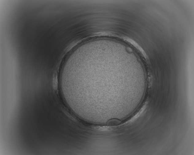 X0000102290969200808221354