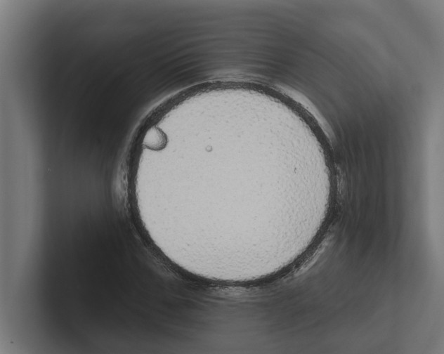 X0000102290971200808221354