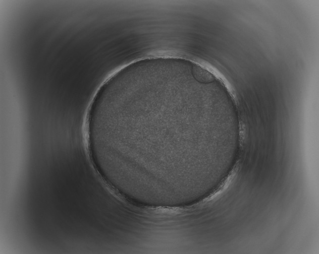 X0000102290981200808221353