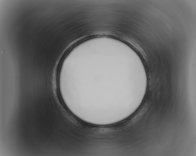 X0000102290984200808221353