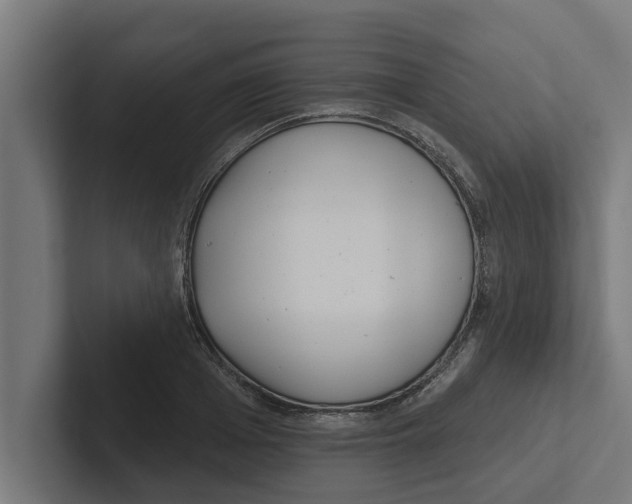 X0000102290985200808221353