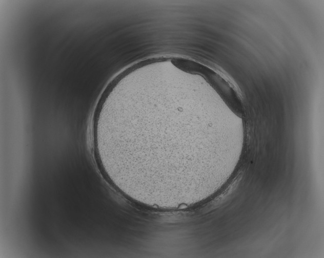 X0000102290988200808221353