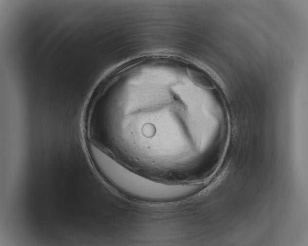 X0000102290989200808221353