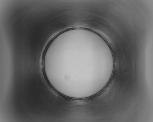 X0000102290990200808221353