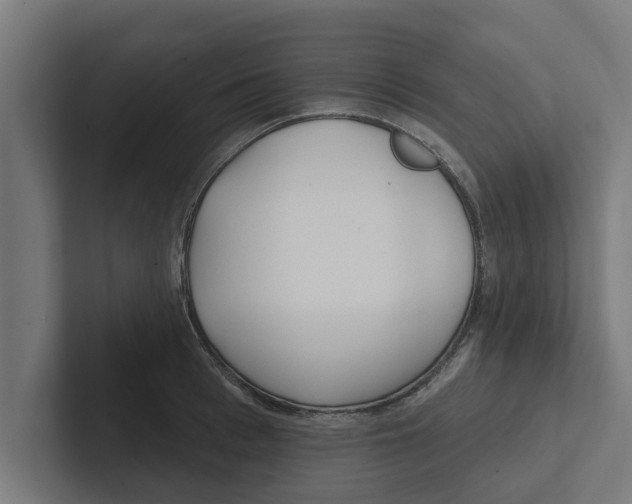 X0000102290993200808221353