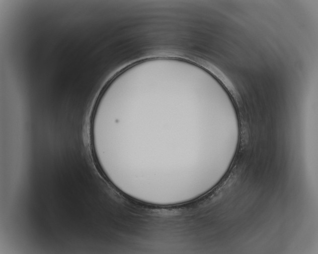 X0000102290996200808221353