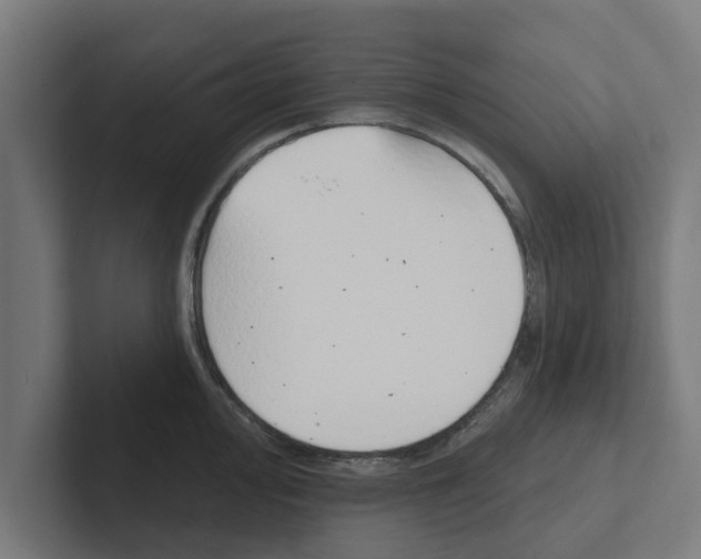 X0000102291000200808221353