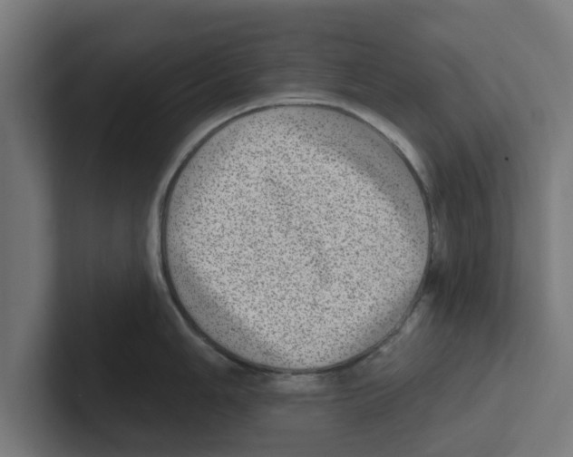 X0000102291006200808221353