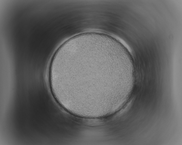 X0000102291007200808221353