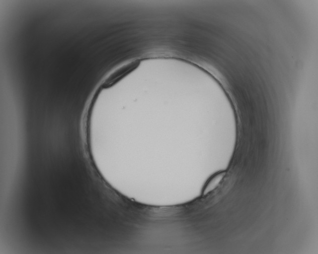 X0000102291008200808221353