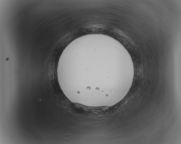 X0000102291014200808221353