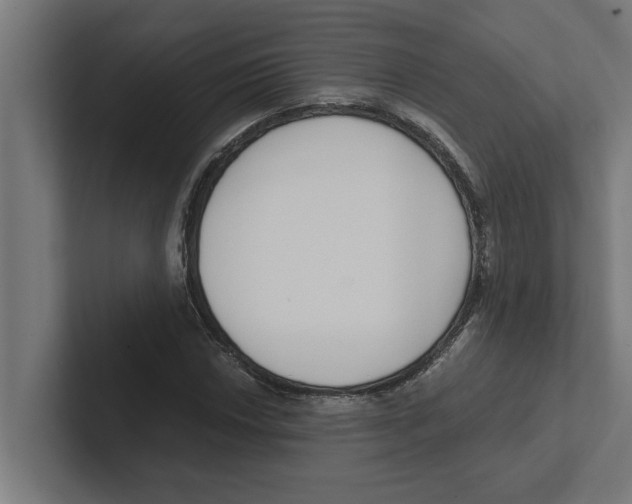 X0000102291018200808221353