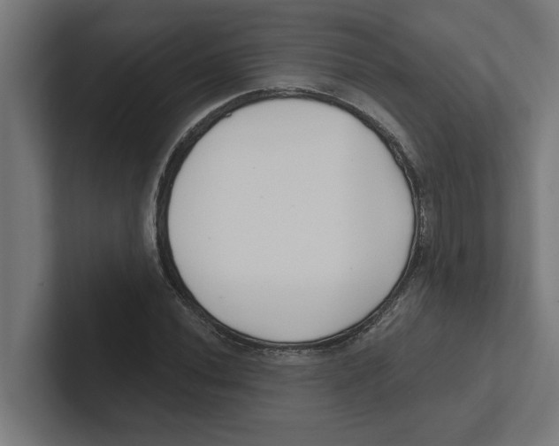 X0000102291020200808221353