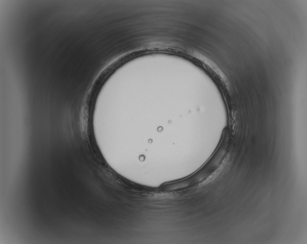 X0000102291021200808221353