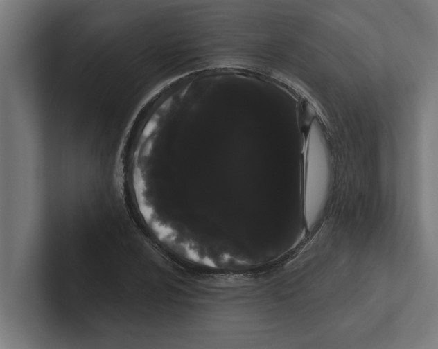 X0000102291024200808221353