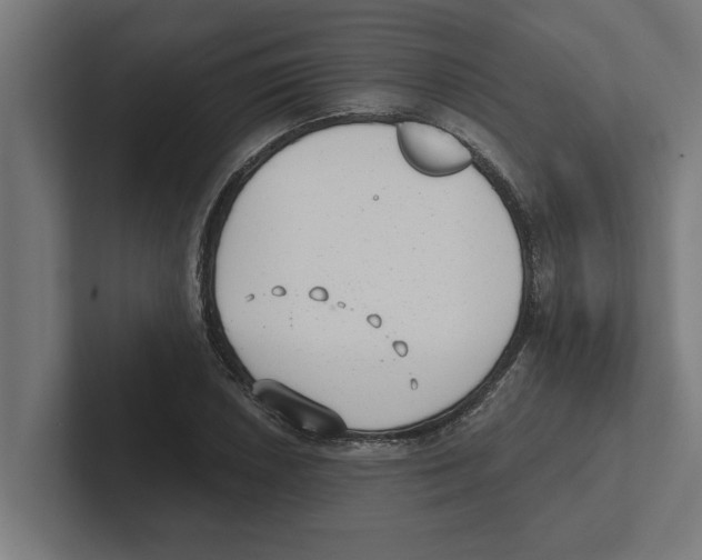 X0000102291026200808221353