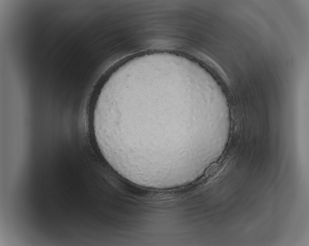 X0000102291027200808221353