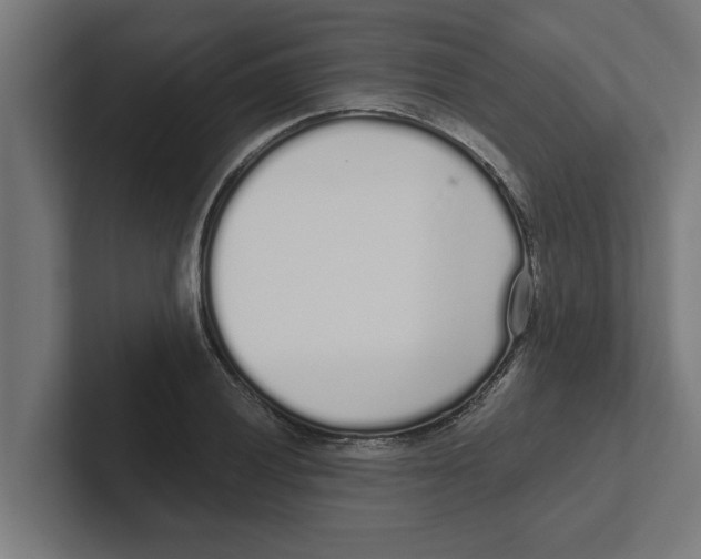 X0000102291028200808221353