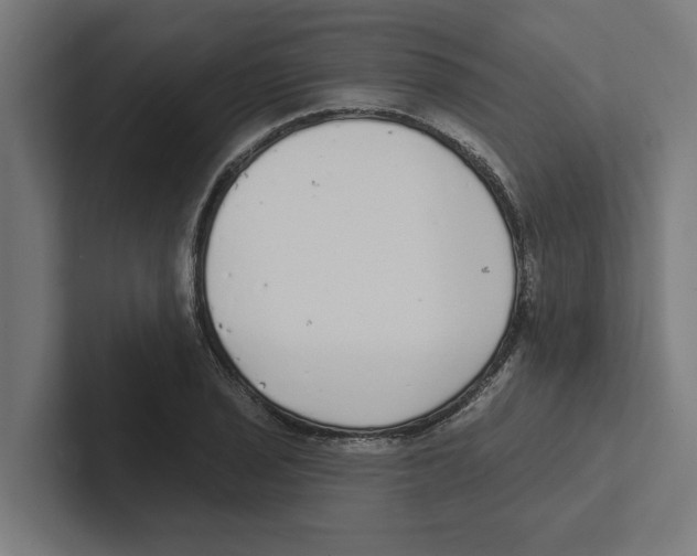 X0000102291029200808221353