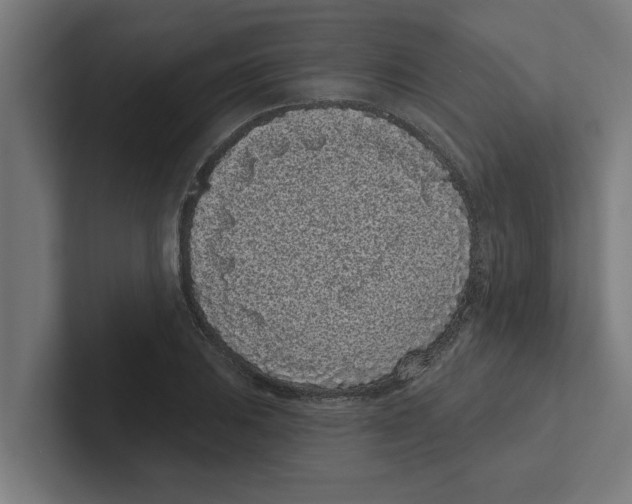 X0000102291031200808221353