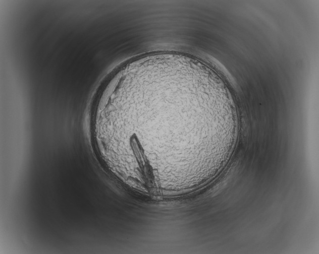 X0000102291035200808221353