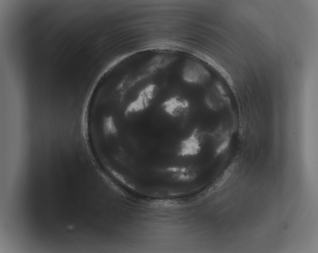 X0000102291037200808221353