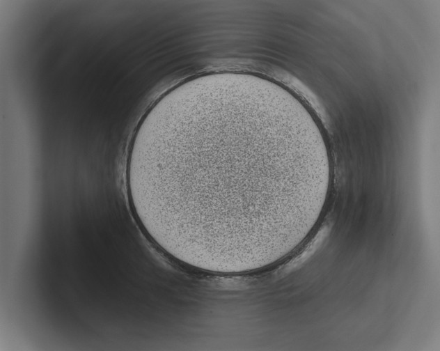 X0000102291041200808221353