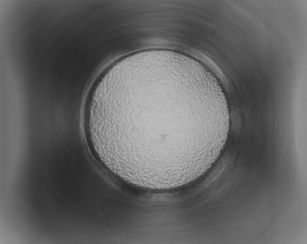 X0000102291043200808221353