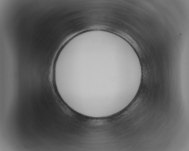 X0000102291044200808221353