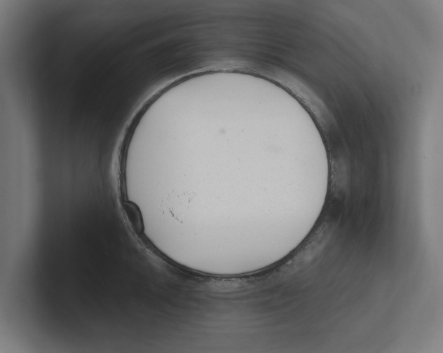 X0000102291046200808221353