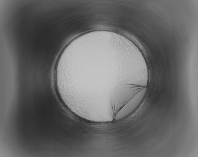 X0000102291048200808221353