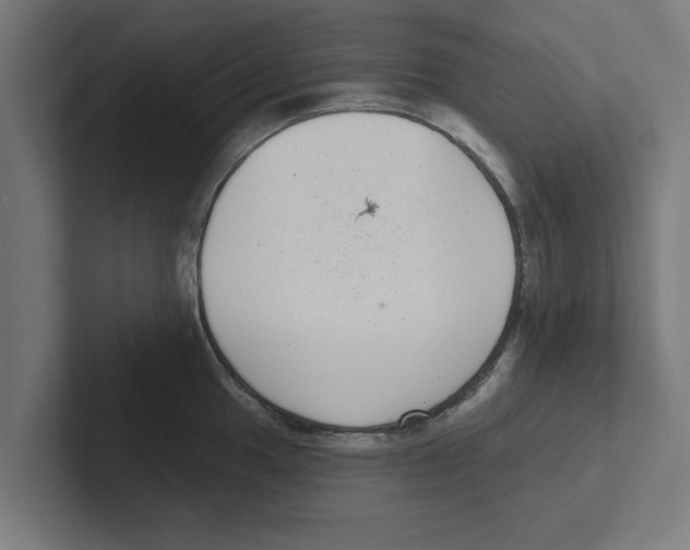 X0000102291049200808221353