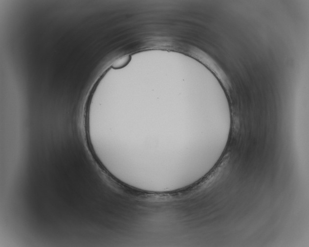 X0000102291050200808221353