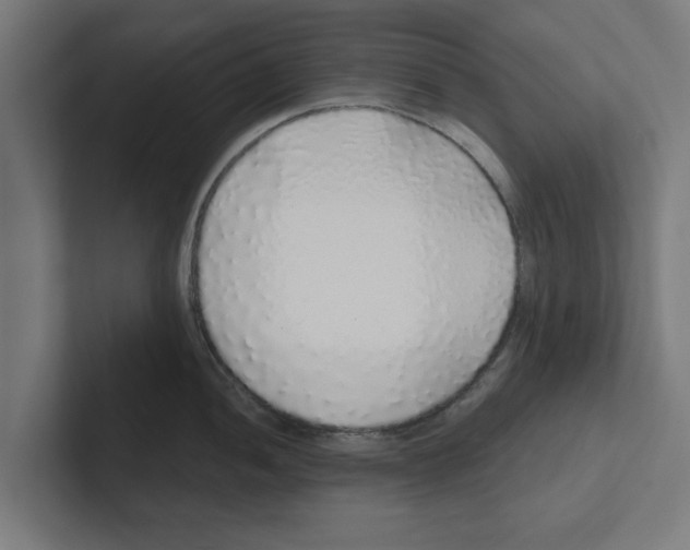 X0000102291052200808221353