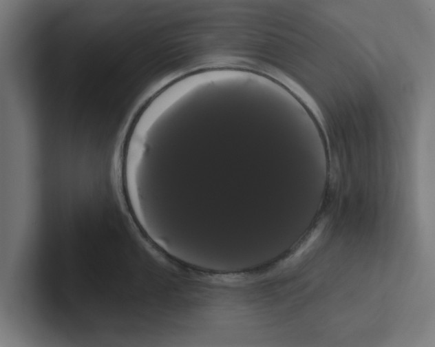 X0000102291053200808221353