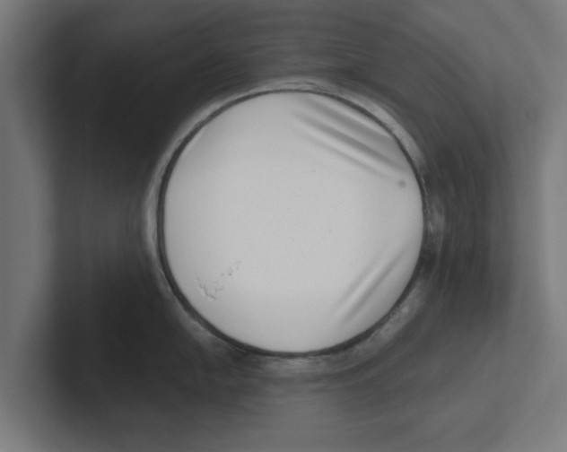 X0000102291054200808221353