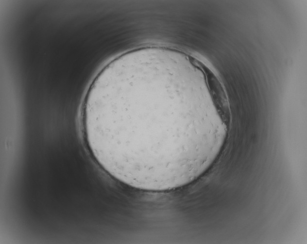 X0000102291056200808221353