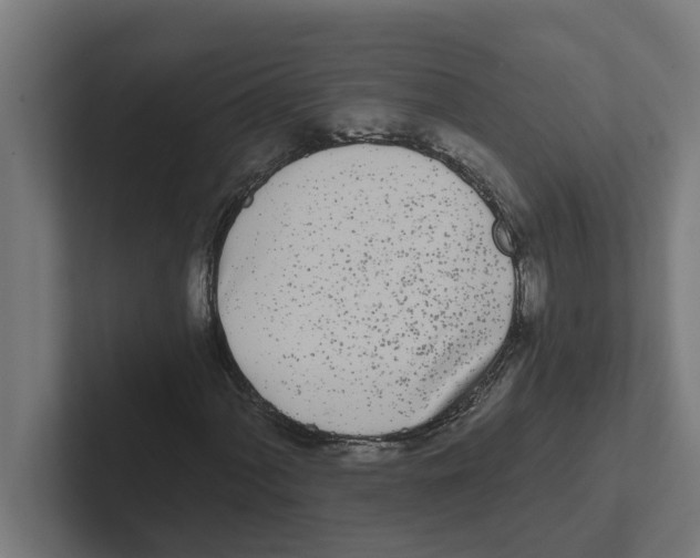 X0000102291060200808221352