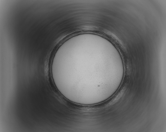 X0000102291065200808221352