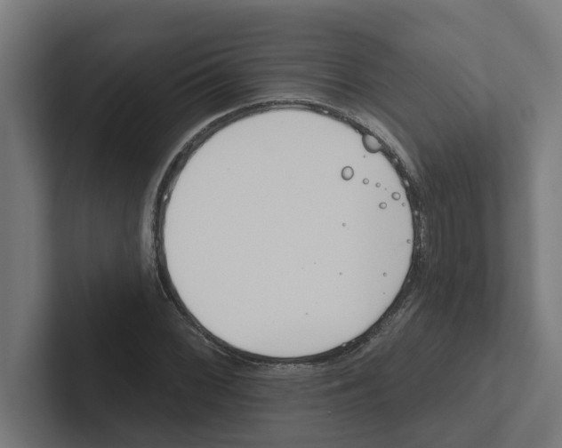 X0000102291068200808221352